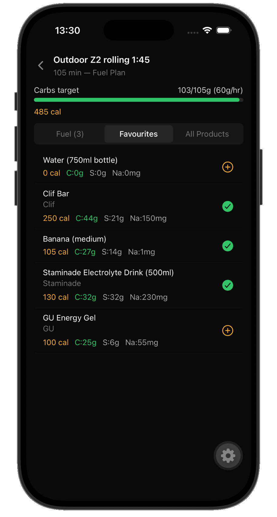 Fuel Bag